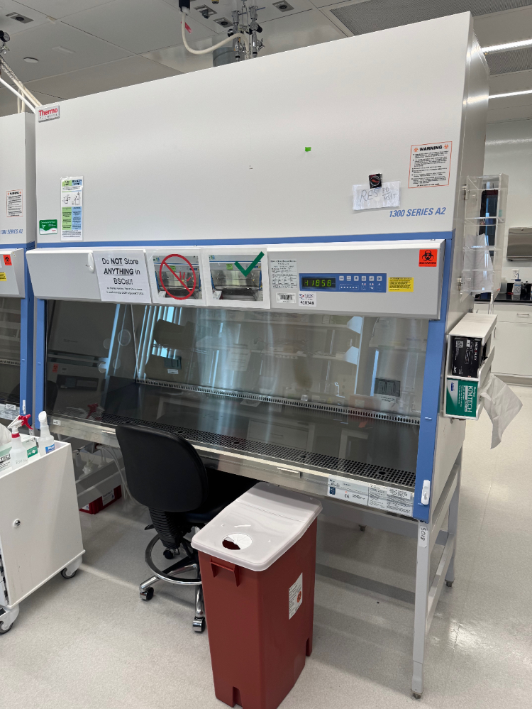 Image of Thermo 1300 Series A2 6' BioSafety Cabinet